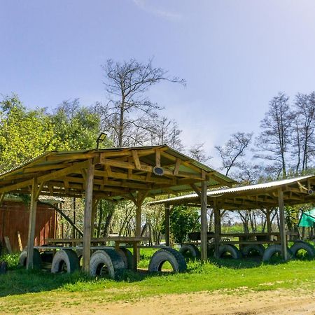 Coyunche Cabanas Y Camping Laja & San Rosendo Extérieur photo