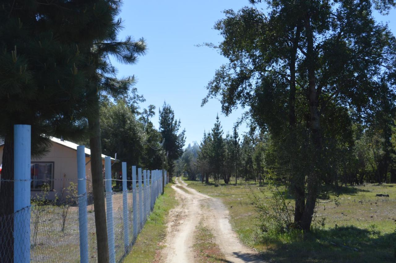 Coyunche Cabanas Y Camping Laja & San Rosendo Extérieur photo