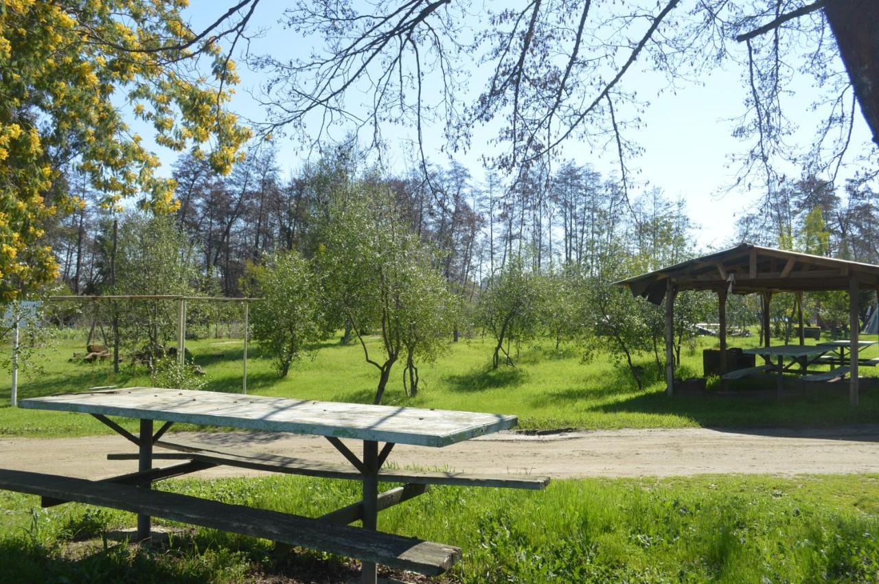 Coyunche Cabanas Y Camping Laja & San Rosendo Extérieur photo