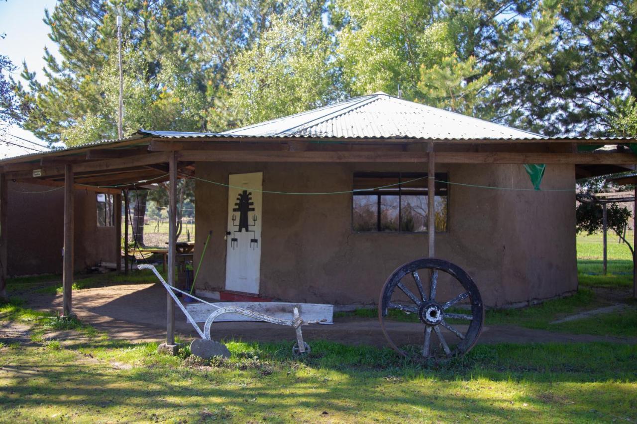 Coyunche Cabanas Y Camping Laja & San Rosendo Extérieur photo